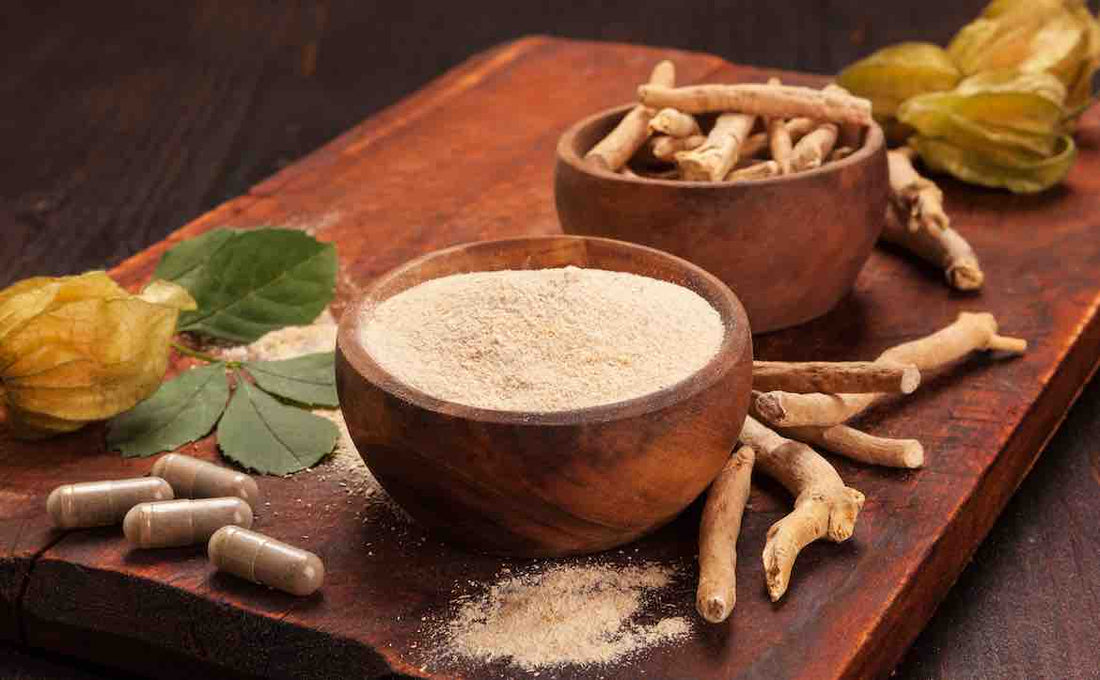 Ashwagandha Root Dosage Side Effects Benefit Recommended